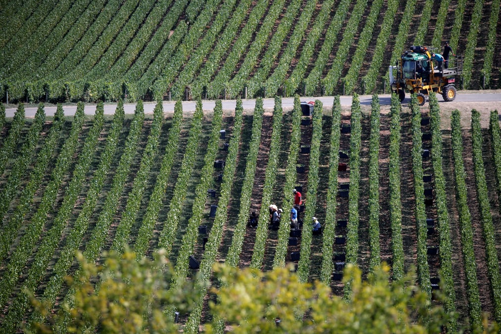 Les ventes de champagne de vranken pommery freinees par les gilets jaunes