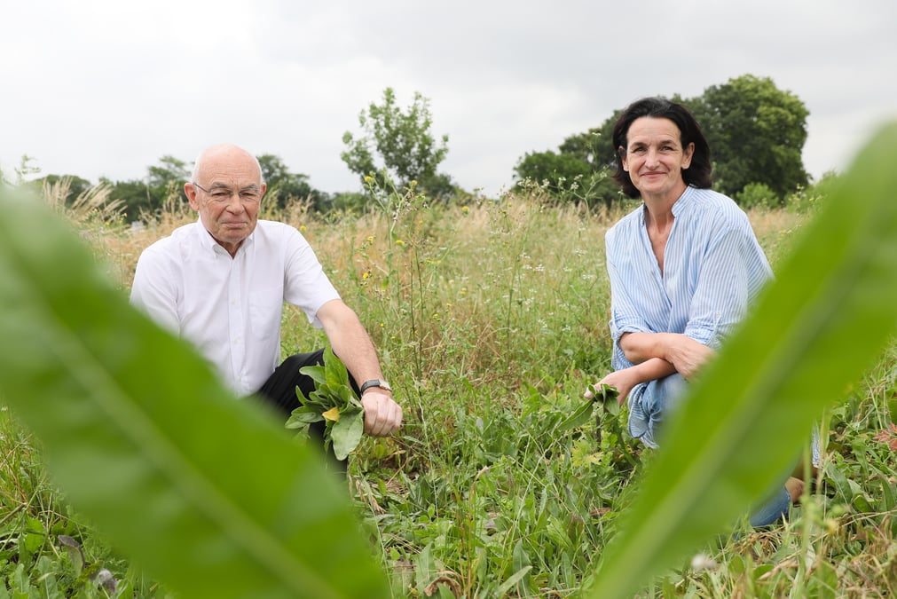 Jean-Jacques Germain et Sandrine Banessy ont fondé ensemble en 2013 Terre de Pastel, à Toulouse.