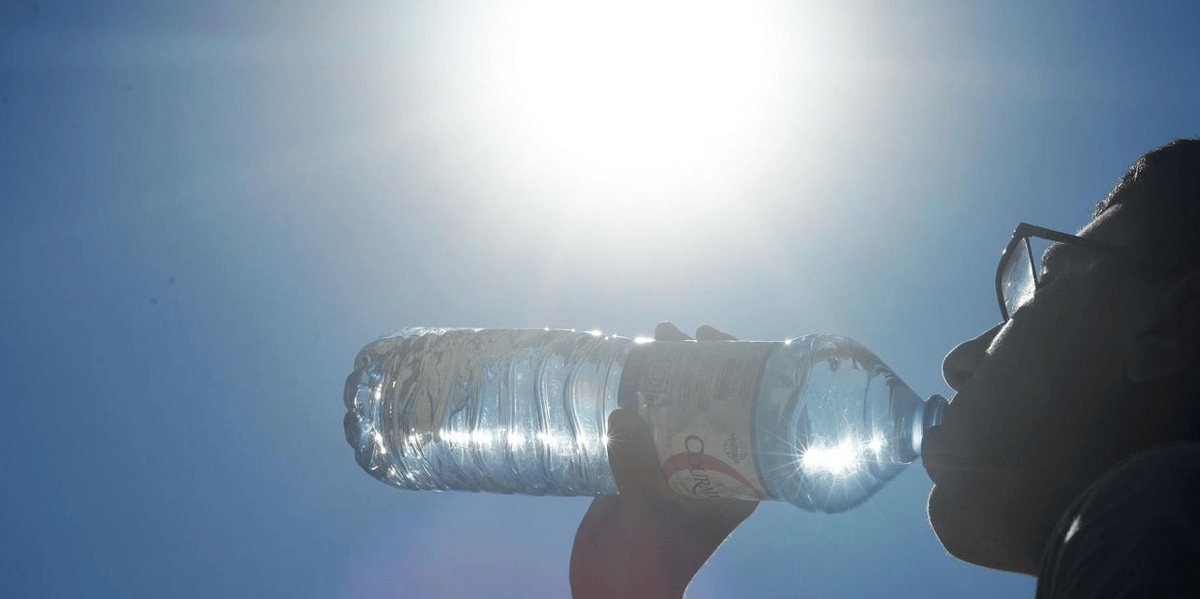 canicule