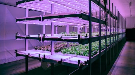 Florentaise : vers une agriculture urbaine innovante