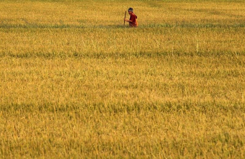 Riz et budget, priorités économiques de la junte thaïlandaise