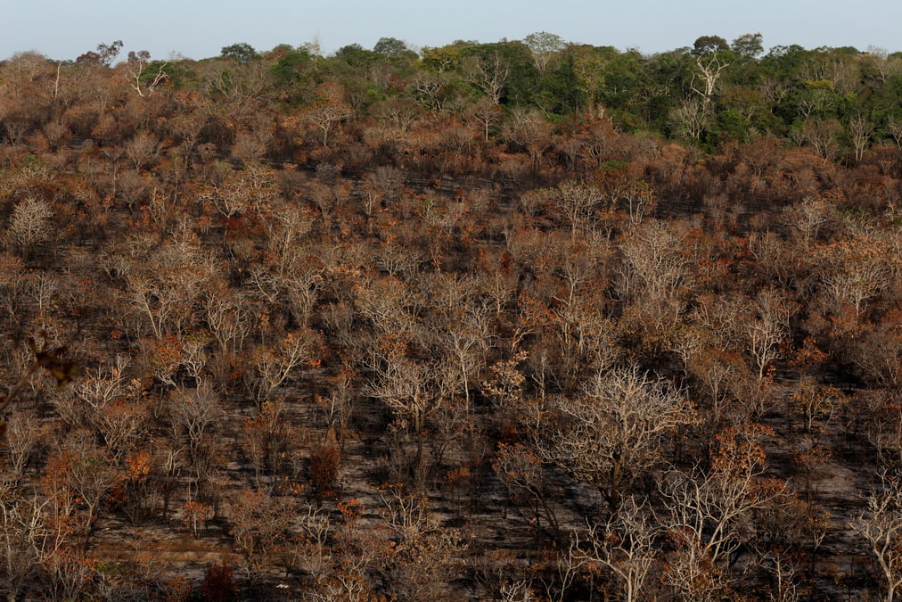500 millions de dollars debloques pour l'amazonie, selon l'elysee