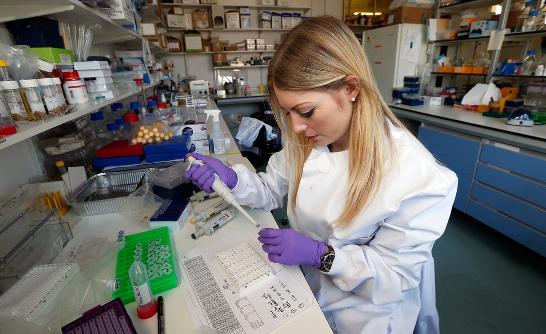 nanoparticules et aliments