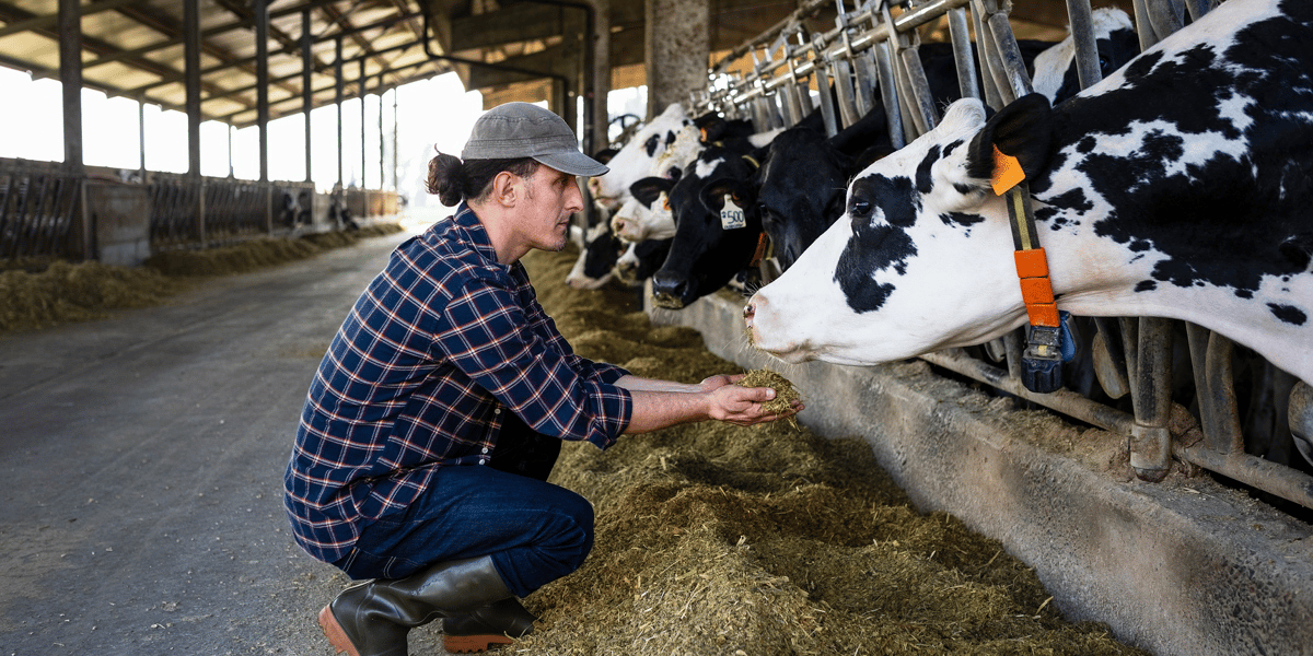 agroalimentaire, alimentation, distribution, consommation