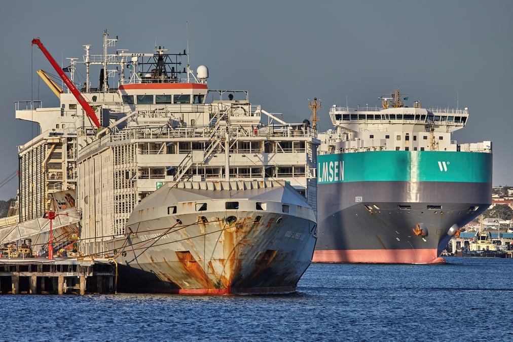 Un cargo neo-zelandais et son equipage portes disparus au large du japon