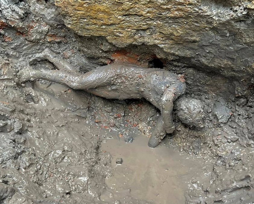 Des statues vieilles de 2.300 ans decouvertes en toscane, en italie