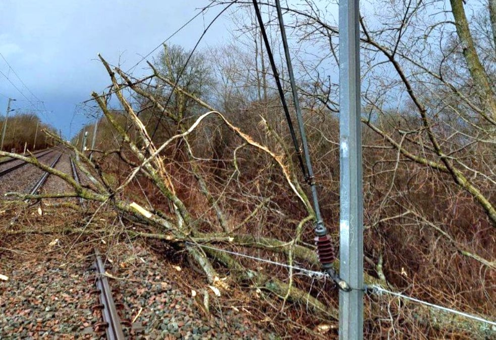 La SNCF craint notamment des chutes d'arbres sur les voies. (Photo d'illustration)