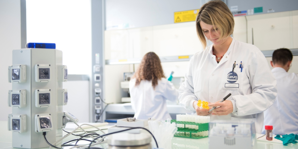 Ceva Santé Animale - Laboratoire