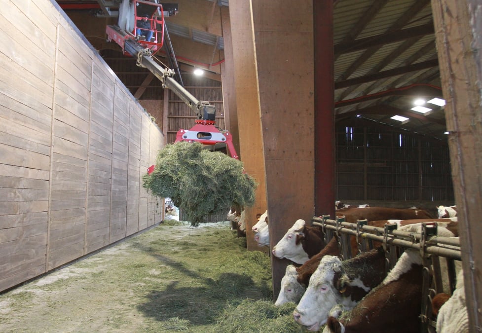 Environ 200 producteurs ont quitté la coopérative Biolait au cours de ces deux dernières années, dont la moitié sont des déconversions.