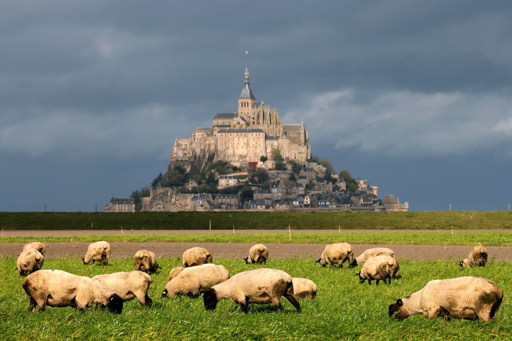 La france dresse trois listes pour l'entree des touristes a partir du 9 juin