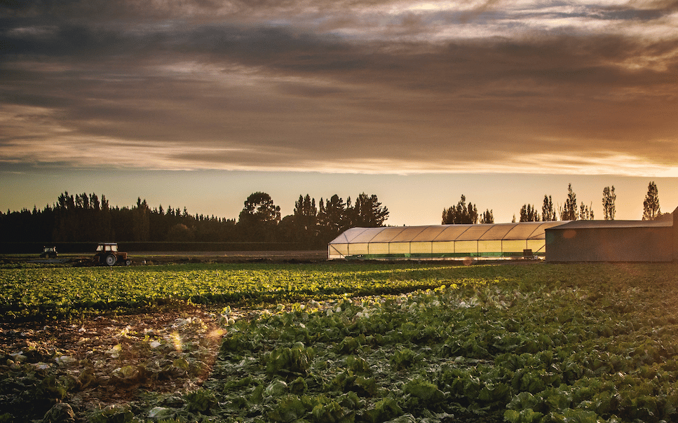 Agriculture