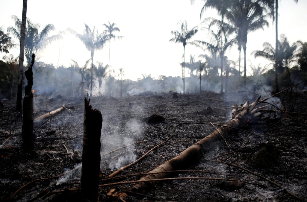 Amazonie, jungle, déforestation, incendie, Bolsonaro, fôret primaire,