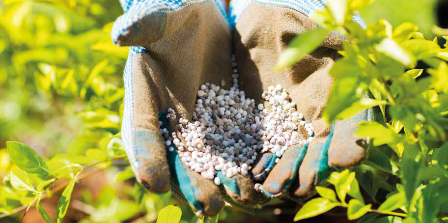 Agriculture engrais agriculteurs