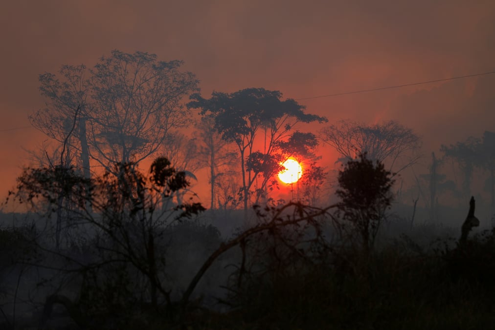 Cop26: plus de 100 dirigeants promettent de stopper la deforestation d'ici 2030
