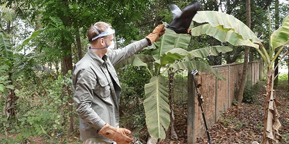 Julien Cappelle, écologue à Cirad à Montpellier