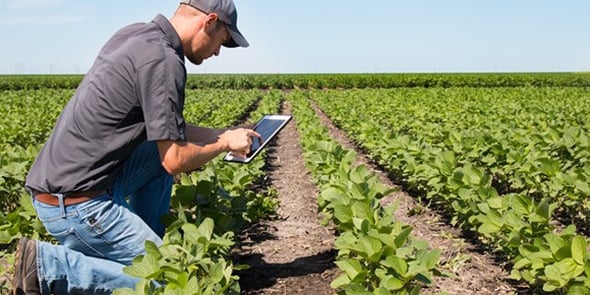 ITK édite des logiciels pour aider les agriculteurs à optimiser le rendement et la qualité de leurs cultures