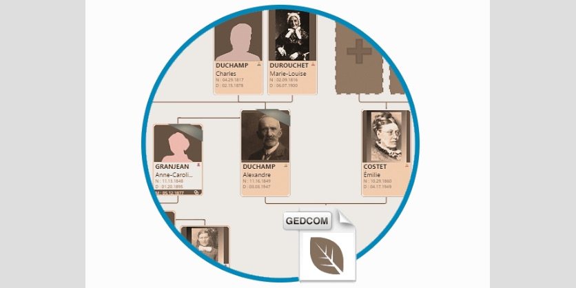 La Scop montpelliéraine Heredis a développé un logiciel et une plateforme en ligne destinés aux adeptes de généalogie.