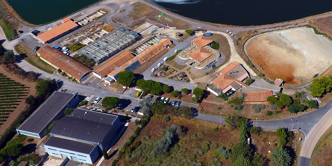 L'Écosite de Mèze