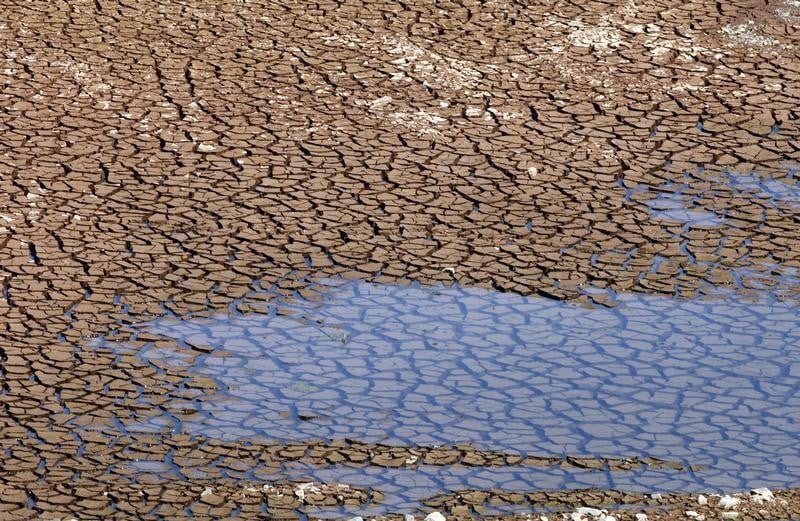 La technologie, clé contre le changement climatique