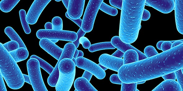 Antibiotiques
