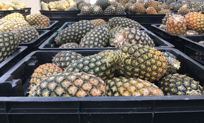 ananas