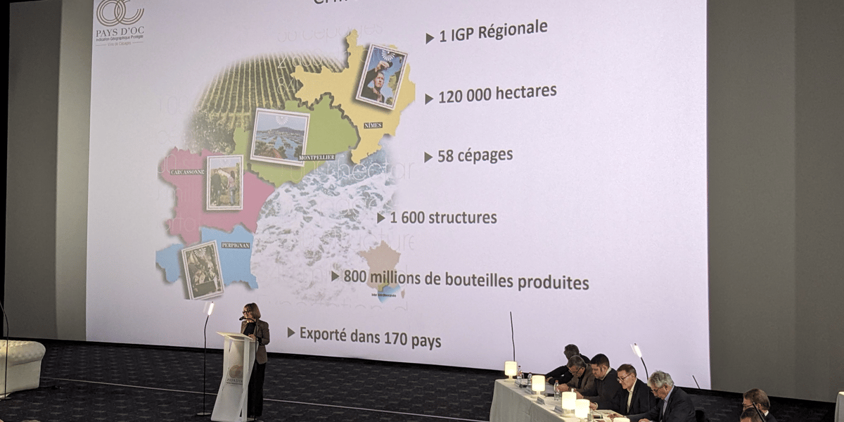 L'assemblée générale du syndicat des producteurs de l'IGP Pays d'Oc, le 19 janvier dernier, a acté l'ambition des professionnels de faire de ce nom et de cette origine, une marque.