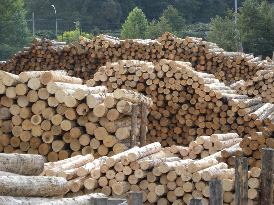 Le Carrefour International du Bois, rendez-vous de référence pour toute la filière forêt bois, revient à Nantes du 28 au 30 mai 2024.