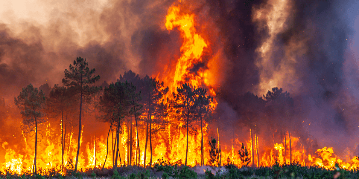 Incendies Gironde Landiras juillet 2022