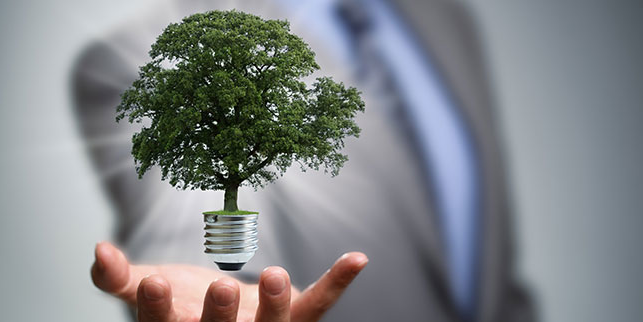 climat des affaires