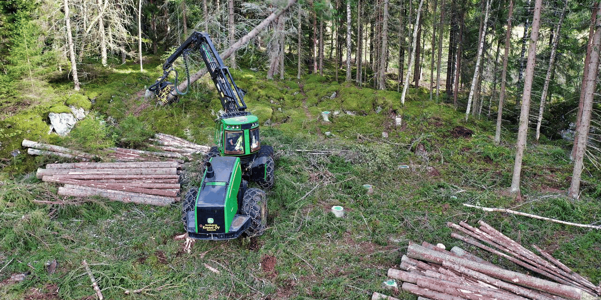 Pour une redynamisation de la filière bois
