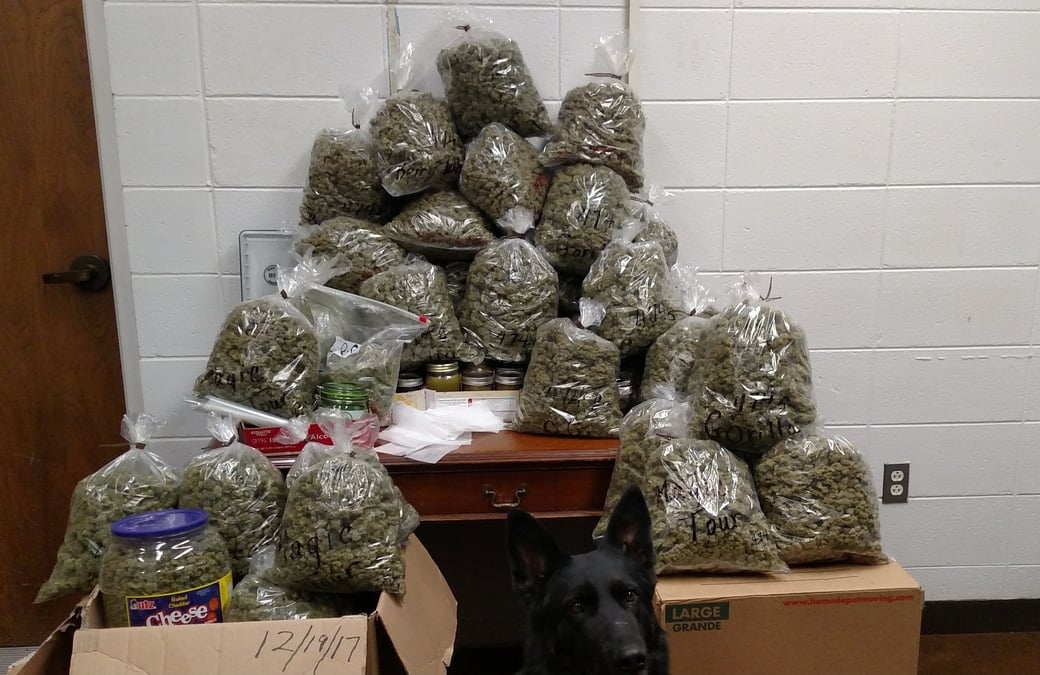 De la marijuana de noel interceptee au nebraska