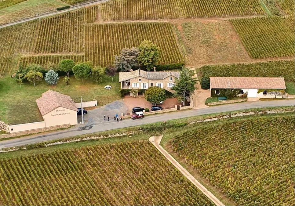 Domaine familial de Sangouard-Guy dans le Mâconnais (15 hectares)