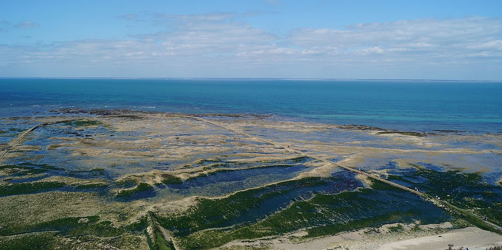 Parc naturel marin de l’Estuaire de la Gironde et de la Mer des Pertuis