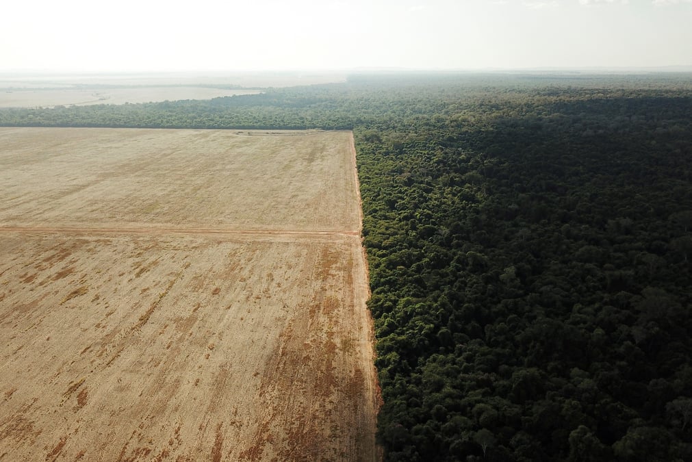 Frontiere entre l'amazonie et le cerrado