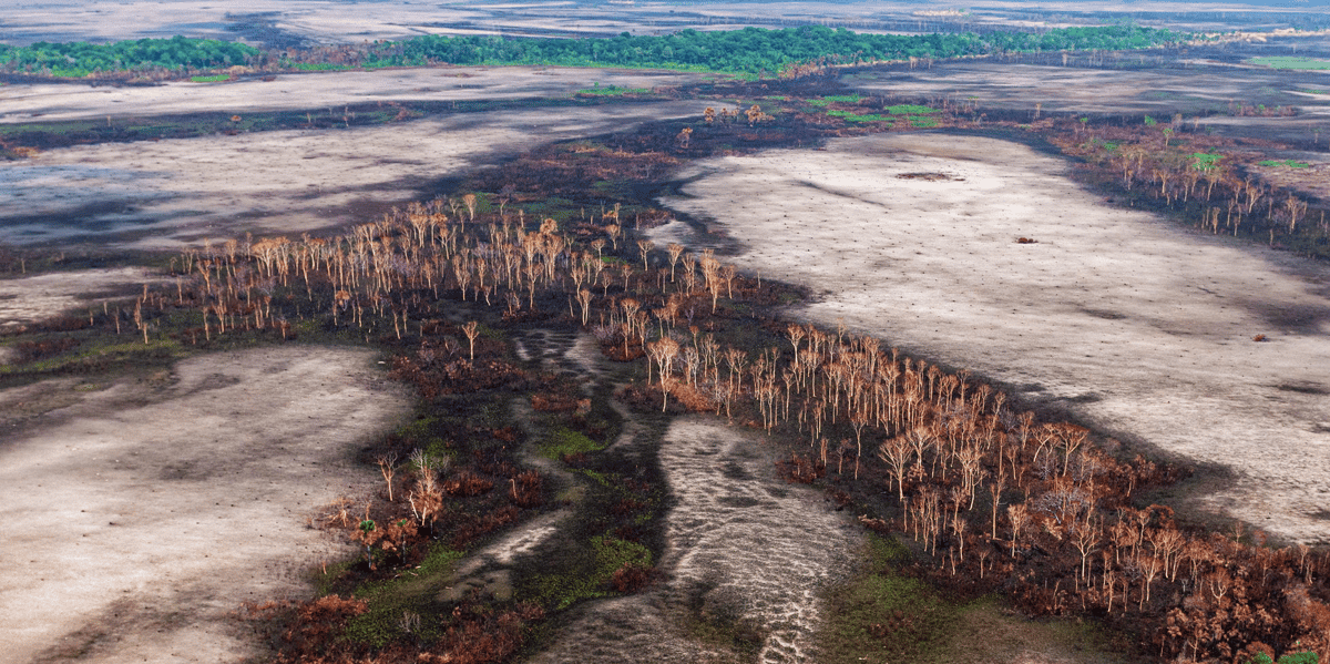 Amazonie, déforestation, Mato Grosso, Brésil, Jair Bolsonaro