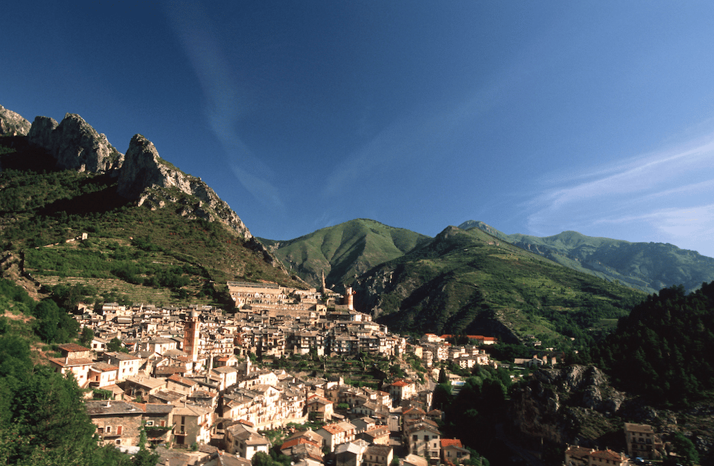 Tende