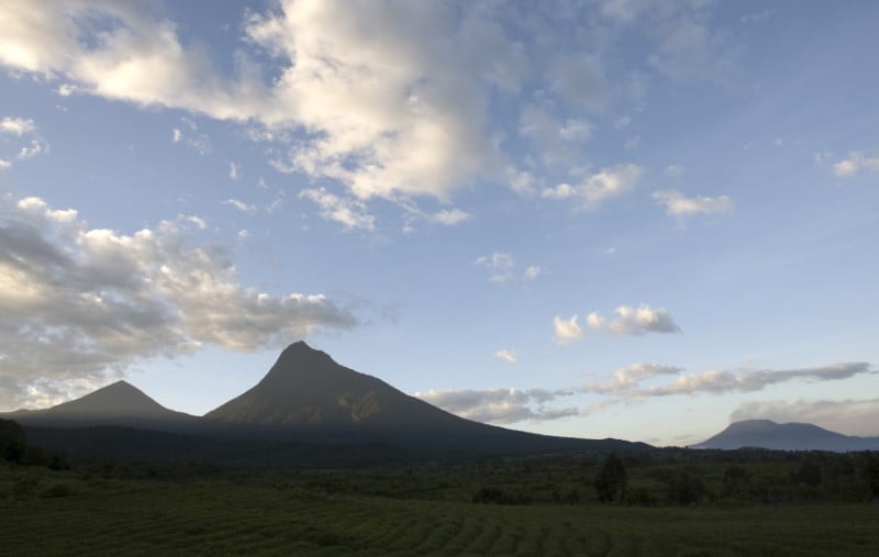 Rdc: le parc des virunga va rester ferme jusqu'a l'an prochain