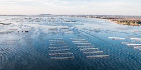 Sète Agglopôle Méditerranée est issue de la fusion de Thau Agglo et de la Communauté de communes du Nord Bassin de Thau