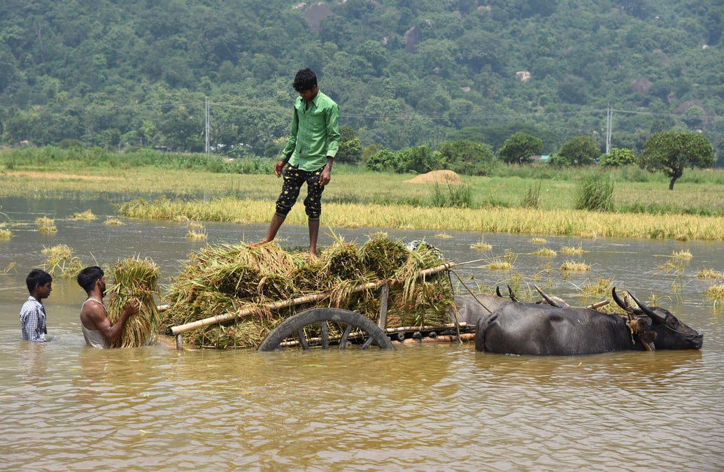 Intemperies au bangladesh et en inde: le bilan passe a 147 tues