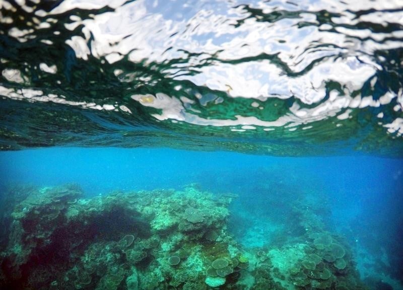 Plus de 100 sites naturels menaces, selon wwf