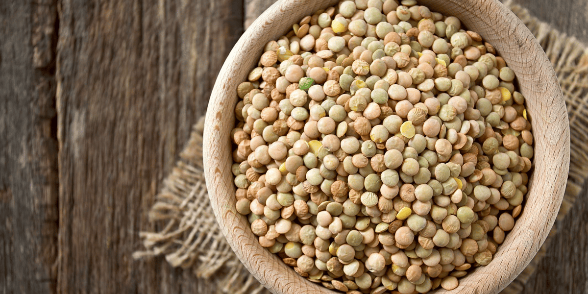 Lentilles AOP Puy en Velay