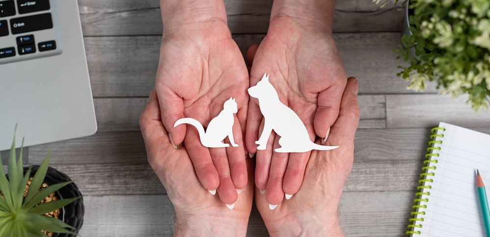 Assurance animaux
