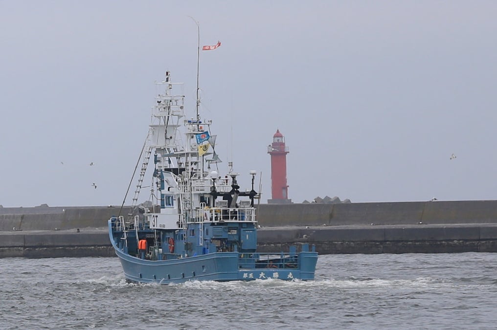 Reprise au japon de la chasse commerciale a la baleine