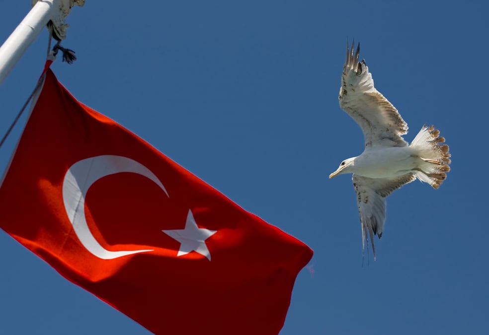 Un oiseau vole a cote du drapeau national sur une jetee a istanbul