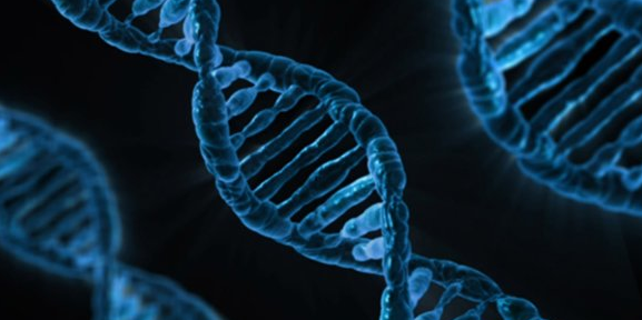 L'entreprise SeqOne, spécialisée dans les solutions logicielles de séquençage génomique, revendique plus de 110 000 analyses de patients en 2025.