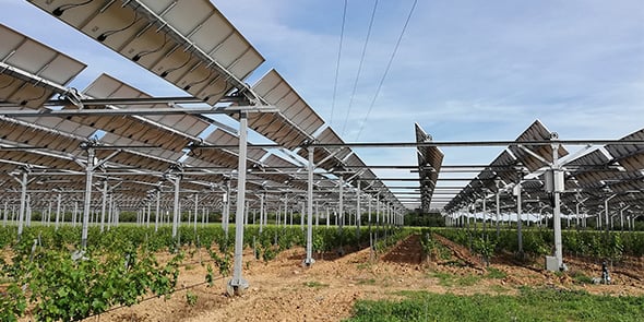 Site pilote d'agrivoltaïsme sur des vignes, dans les Pyrénées-Orientales (Domaines de Nidolères)