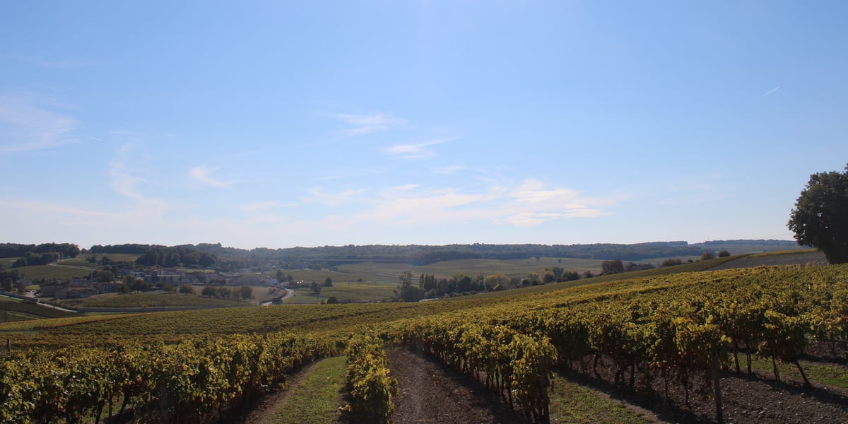 agriculture Charente
