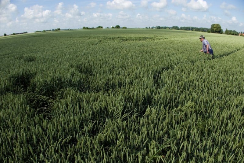 Les retards de la pac payes aux agriculteurs avant septembre