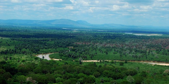 Rufij River Selous Tanzanie