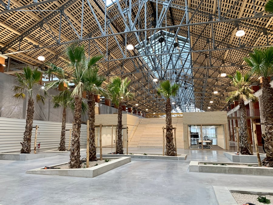 Au sein de l'allée centrale, la Région Occitanie compte organiser divers événements, comme des expositions culturelles.
